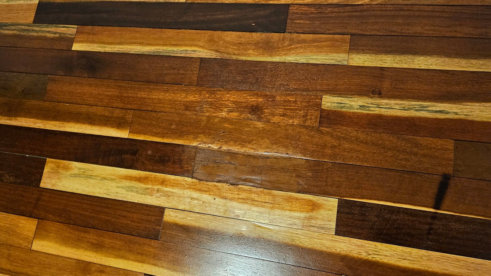 20251030 191649 scaled